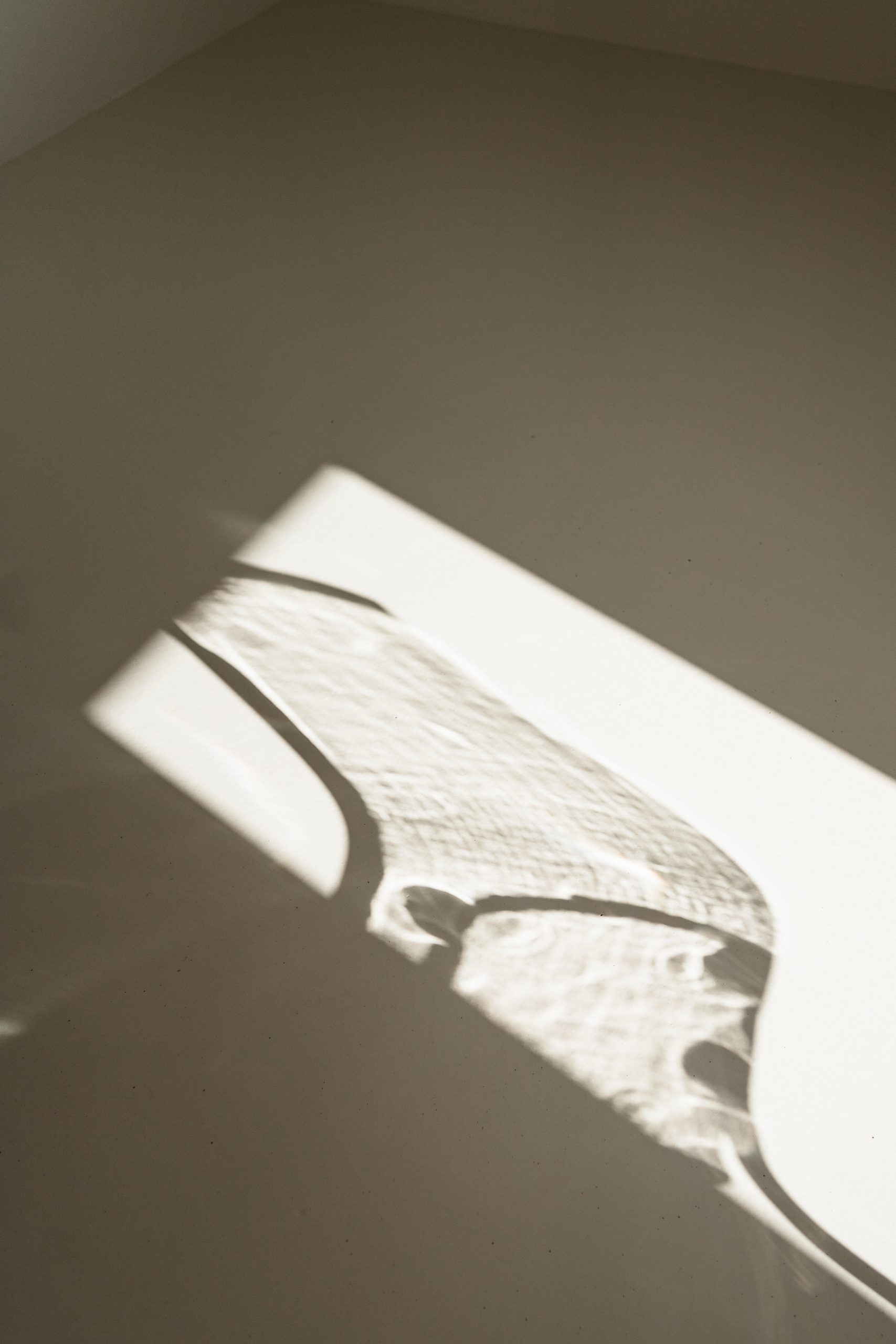 Foto aus dem studio liz von einem Schatten.