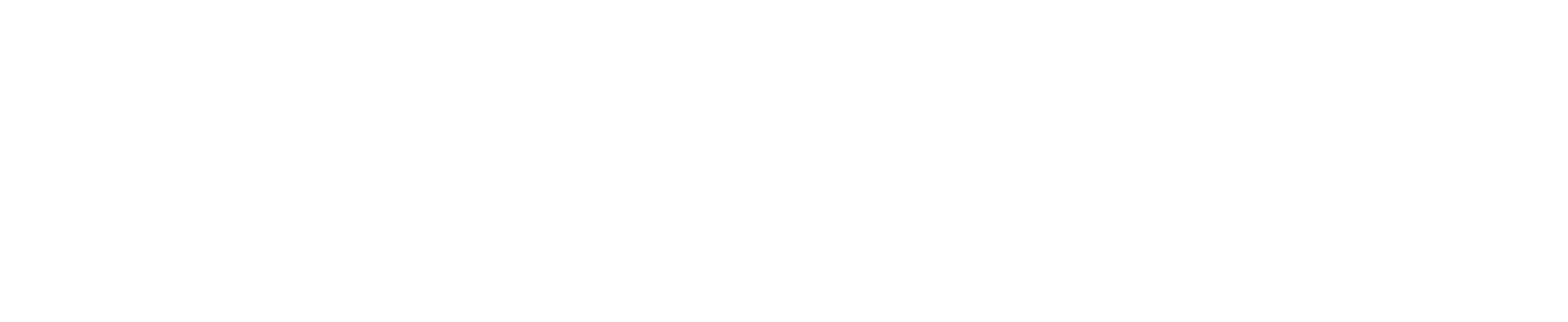 Logo studio liz