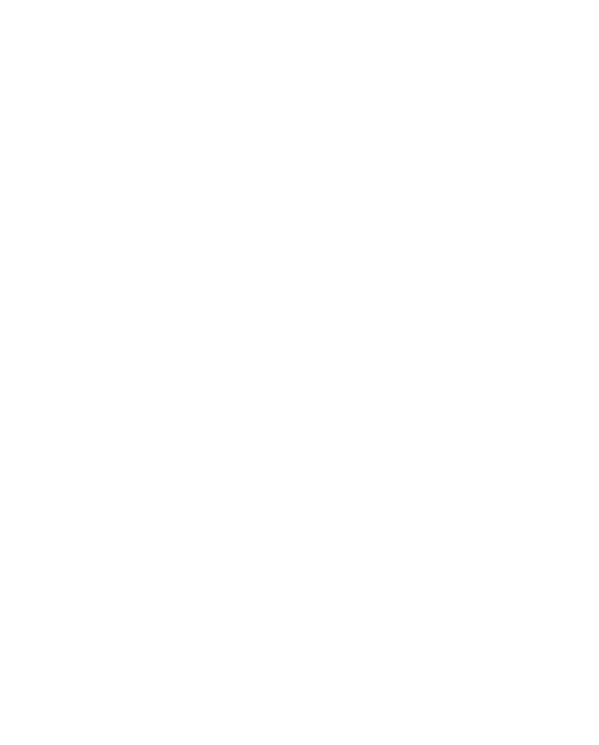 Logo studio liz