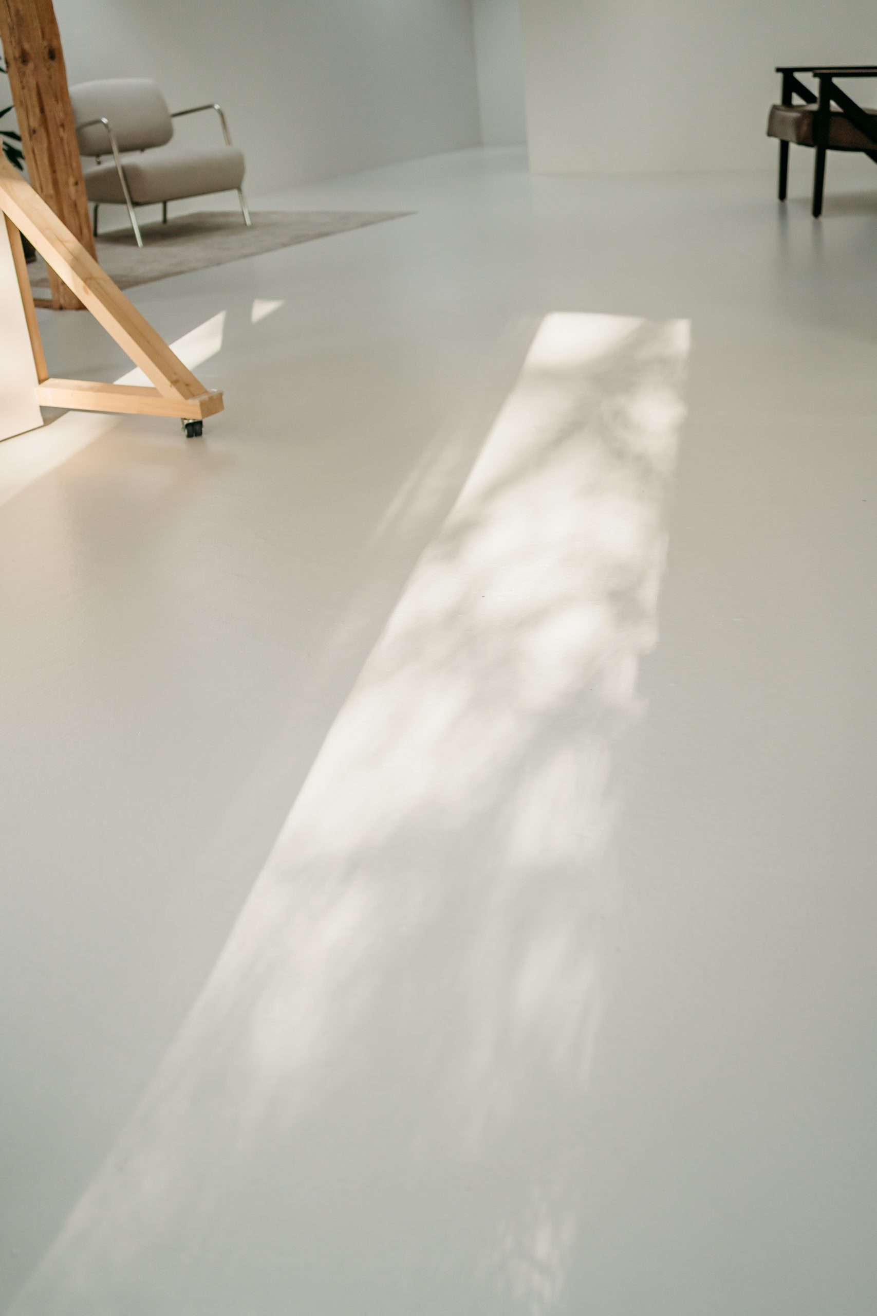 Foto aus dem studio liz.